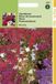 Hortitops Zaden - Phlox Nana Compacta Beauty Gemengd