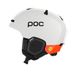 POC Fornix MIPS