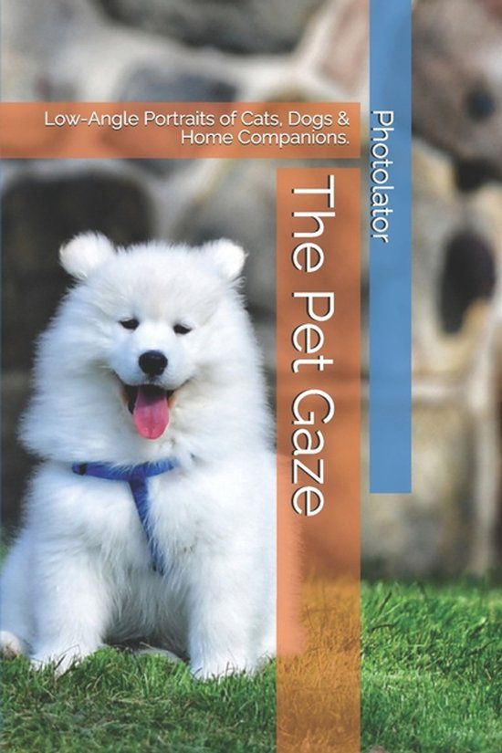 The Photography Guides The Pet Gaze