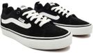Vans Filmore Sneakers Dames