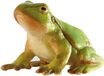 Bullyland 68401 – Speelfiguur en verzamelfiguur Boomkikker – ca. 3,5 cm