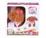 Simba ChiChi Love Teacup Caniche Chiot