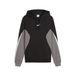PUMA Essentials Colourblock hoodie voor Heren, Zwart, Maat M