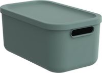 Rotho Albula Light - Decoratieve opbergbox - 12 L - groen