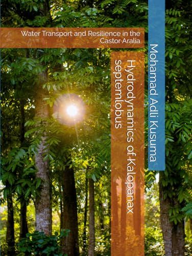 Hydrodynamics of Kalopanax septemlobus: Water Transport and Resilience in the Castor Aralia