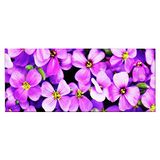 Homemania Muurfoto, bloemen, natuur, voor woonkamer, slaapkamer, meerkleurig, 70 x 3 x 100 cm, HM20KNV70 x 100 – 11, polyester, hout