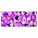 Homemania Muurfoto, bloemen, natuur, voor woonkamer, slaapkamer, meerkleurig, 70 x 3 x 100 cm, HM20KNV70 x 100 – 11, polyester, hout