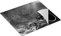 Chefcare Inductie Beschermer Onderwater Vissen met Koraal in de Zee - Zwart Wit - 57,6x51,6 cm