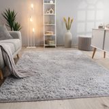 Paco Home Hoogpolig Vloerkleed Woonkamer Vacht Imitatiebont Shaggy Wollig Eenkleurig 60x100 cm Zilver