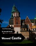 Wawel Castle: Royal Chambers & Gothic Splendor – A Visual Journey for History & Architecture Lovers