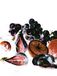 Komar Muurfoto - Fruits d'automne - Grootte: 30 x 40 cm - Poster, Kunstdruk, Decoratie, Woonkamer, Slaapkamer