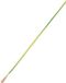 TRU COMPONENTS 1571022 Draad LiFY 1 x 0.75 mm² Groen, Geel 100 m
