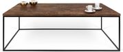 Temahome Salontafel Gleam 120x75 - Roest/Staal - Rechthoekig