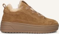 STEFANO LAURAN Anemone-88 Sneakers - Suède - Dames - Bruin - Maat 40