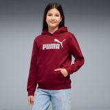PUMA ESS No. 1-logo fleece hoodie voor jongeren 176, Garnet Glow Red