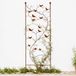 DanDiBo 120705 Aide à l'escalade avec oiseaux, support d'escalade pour plantes en métal, 150 x 50 cm (h x l), aide à l'escalade