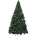 Sapin royal majestueux 60