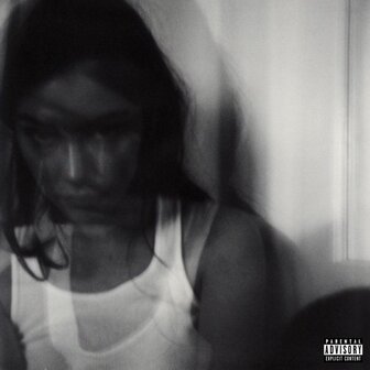 Universal Music Nederland Gracie Abrams - Good Riddance (CD)