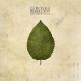 Cold Boxer Rebellion - The Cold Still (LP) (Coloured Vinyl)
