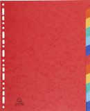 Exacompta 5x Tabbladen in glanskarton 225g - 12 tabs - formaat 24x32cm - Geassorteerd - 7034E