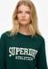 Superdry Dames Trui Slouchy Intarsia Gebreid Katoen Groen