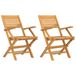 VidaXL Fauteuils de jardin pliants, lot de 2, teck massif