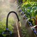 Système d'arrosage de jardin avec brumisateur réglable et fonction de refroidissement. Comprend 10 buses de pulvérisation et 10 mètres de tuyau. Système d'irrigation goutte à goutte pour jardin