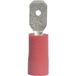 Vogt Verbindungstechnik 392805 Connecteur mâle Largeur d'insertion : 4,8 mm Épaisseur d'insertion : 0,5 mm 180° Partiellement isolé Rouge 1 pièce(s)