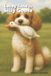 Lacey Jane the Silly Goose - Paperback