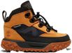 Timberland Greenstride Motion 6 Bungee Wp Chaussures de randonnée pour tout-petits Marron EU 30 Enfants