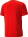 Puma Teamvision Shirt Korte Mouw Kinderen - Rood