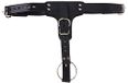 Strict Leather Premium Locking Leather Cock Ring and Butt Plug Harness
