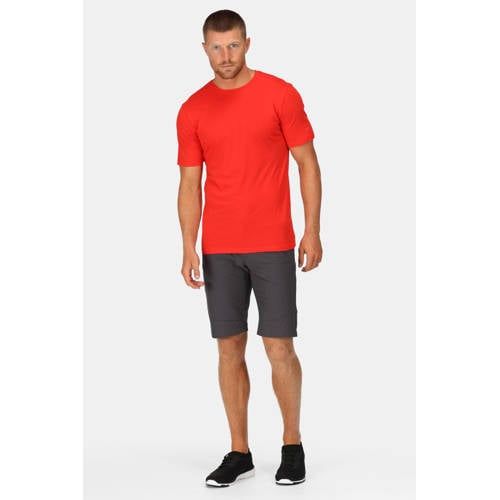 Regatta Highton Outdoor Shorts - Grey