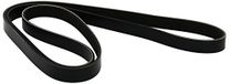 DAYCO 6PK1955 riem