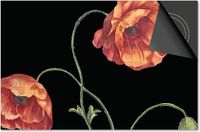 Dietrix Inductie Beschermer - 65x52cm - Botanical - Klaprozen op Zwart
