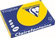 Trophee Goudgl A3 160gr 250v
