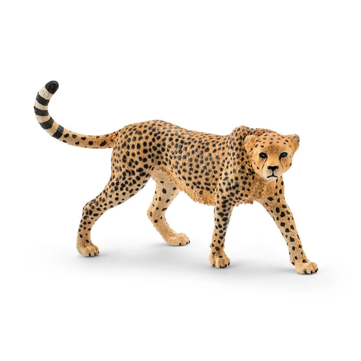 Schleich WILD LIFE Jachtluipaardwijfje 14746 - Speelgoedfiguur - 3+ jaar