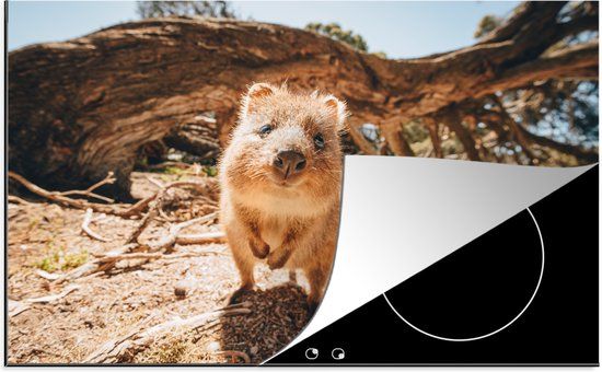 KitchenYeah® Inductie beschermer 77x51 cm - Quokkas in Australië - Inductiebeschermer voor Inductie Kookplaat - Multicolor
