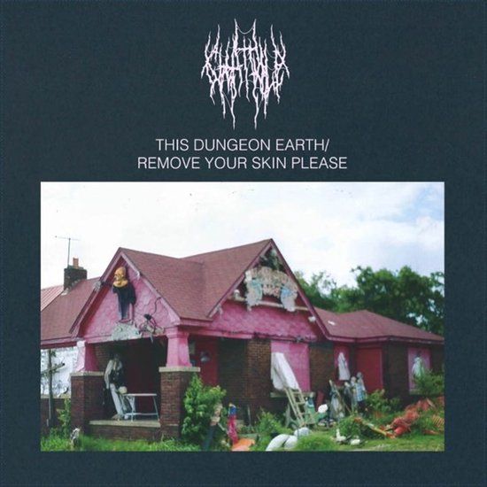 This Chat Pile This Dungeon Earth / Remove Your Skin Please (LP)