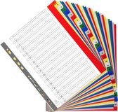 Exacompta 20x Tabbladen met bedrukte tabs in gekleurde PP - 31 tabs - 1 tot 31 - A4 maxi - Geassorteerde felle kleuren - 88E