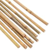Ferrarium 50 stuks 122cm bamboestokken 14-16 mm
