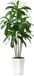 Unyqoos® Arbre artificiel réaliste avec pot de fleurs blanc élégant pour tout intérieur