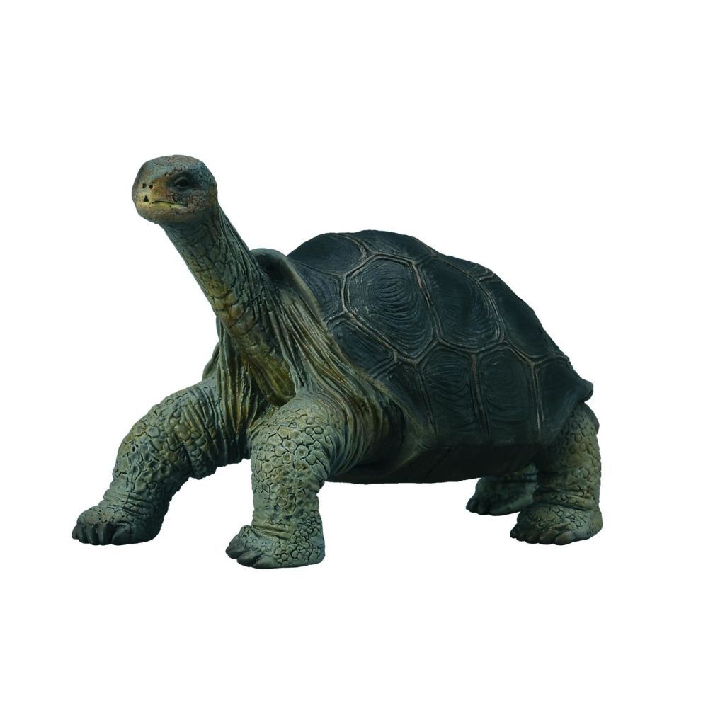 Collecta Wilde Dieren Galapagosreuzenschildpad 8.1 x 5 cm