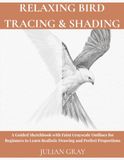 Relaxing Bird Tracing & Shading