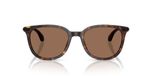 Moncler Korra Me6013 Lunettes de soleil unisexe havane géométrique marron 53mm