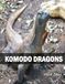 KOMODO DRAGONS: A Coffee Table Photo Book for Animal Lovers