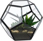 Relaxdays Planten Terrarium