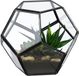 Relaxdays Planten Terrarium