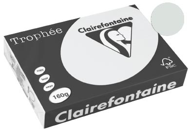 Clairefontaine Trophée Pastel A4 lichtgrijs 160 g 250 vel