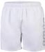 Arena Zwemshort Fundamentals Logo R Heren Wit/Goud L
